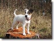 ..jet jedna na paezu ;)