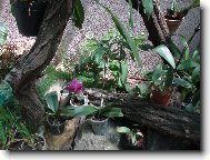 Návštěva u Anonyma