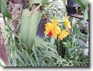 Návštěva u Anonyma