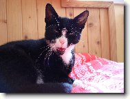 Zííívááááám:D