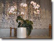 Miluška Kúnová z Břeclavi