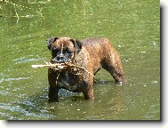 Blondy ve vodním živlu