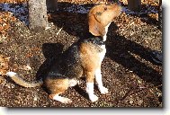 ČEKÁM NA PÁREČEK