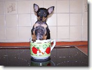 Kráska - těžká pohoda