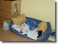 Pohodička v pelíšku