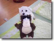 To je moje nová kamarádka