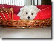 druhý den v novém domově