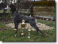 AMIRA Z ČIMELICKÝCH STRÁNÍ