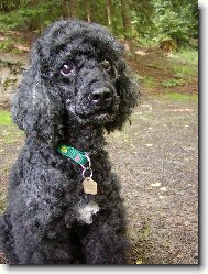 koukej jak mi to sluší