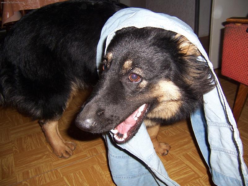 Foto: Karkulka