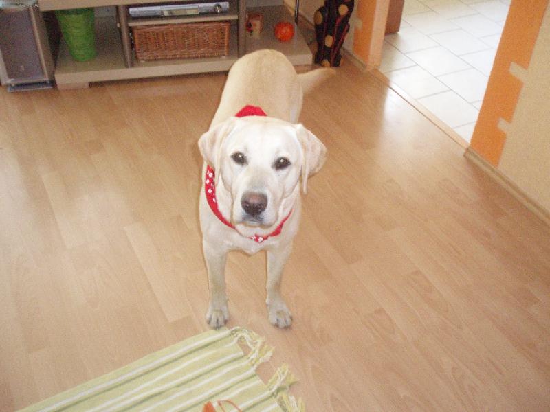 Foto: SAM-ferda