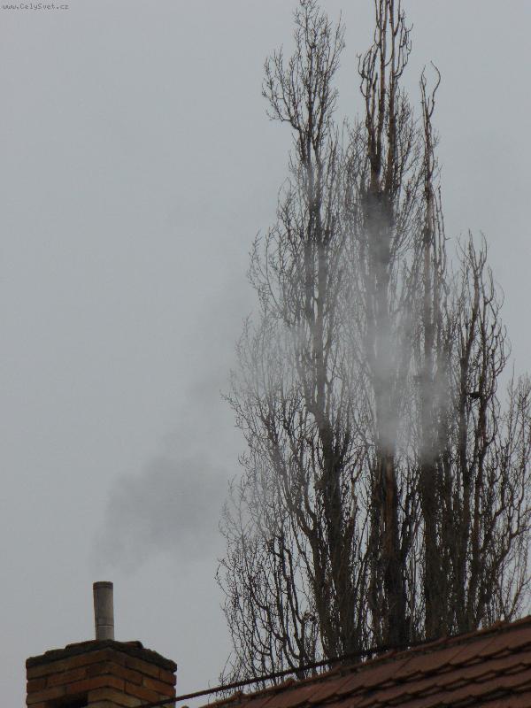 Foto: Ekologie-Smutný pohled nad střechy domů