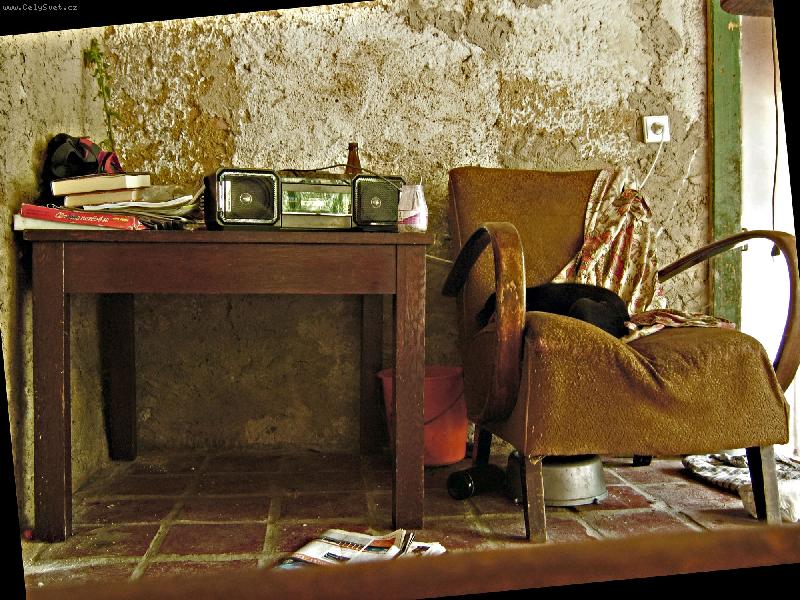 Foto: Zátiší-Spící štěňe na křesle