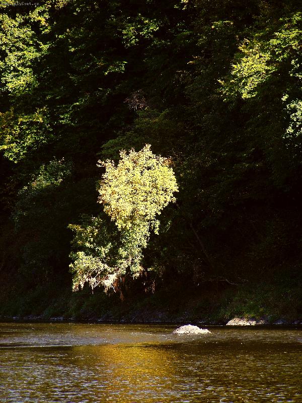 Foto: Podzim nad Berounkou