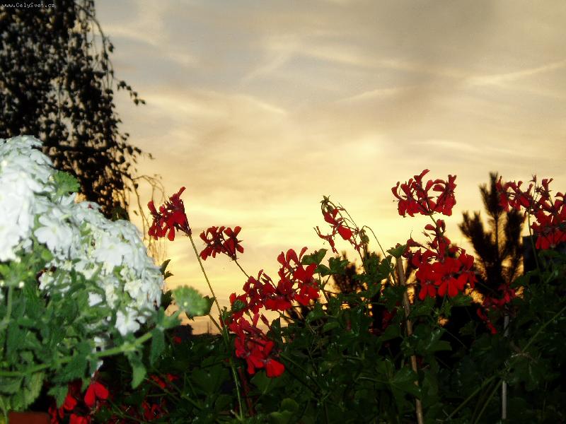 Foto: Západ slunce z balkonu