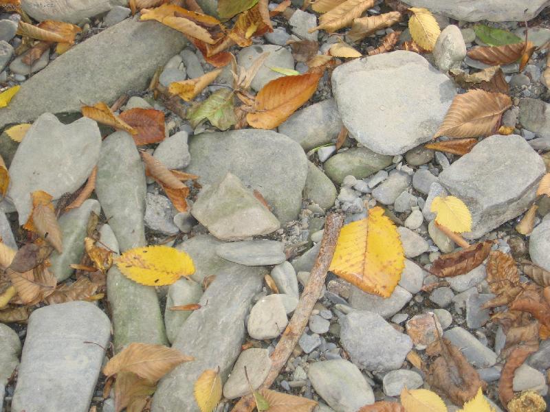 Foto: Na břehu Bystřice