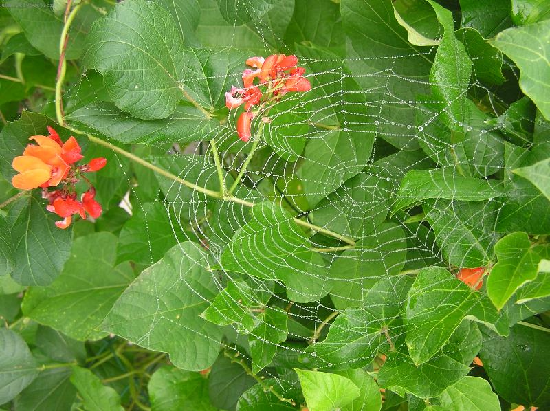 Foto: Tomu říkám poctivá práce