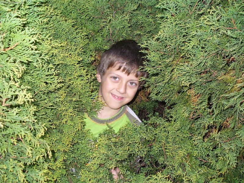 Foto: Maskování-Kuk! Tady jsem.