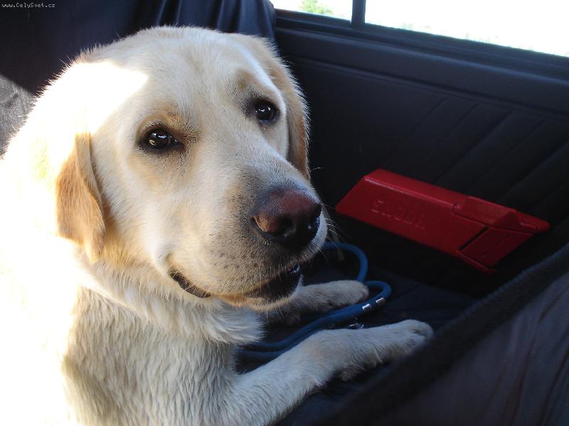 Foto: Lucky