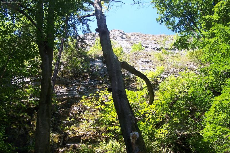 Foto: Dovolená na Macoše-Roste houbička do nebíčka