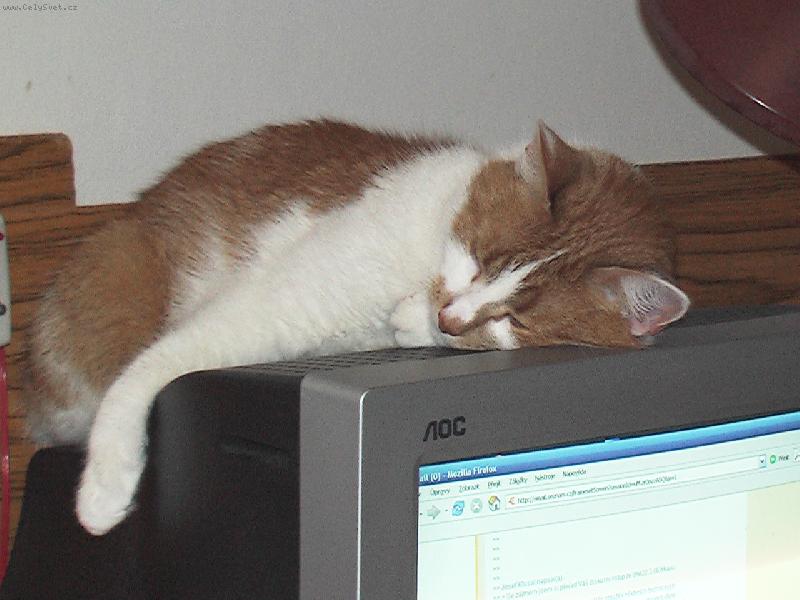 Foto: Unavený po serfování.-Oblíbené místo.