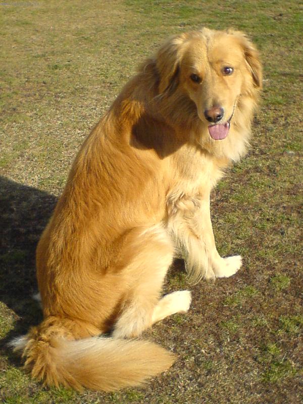 Foto: Conny