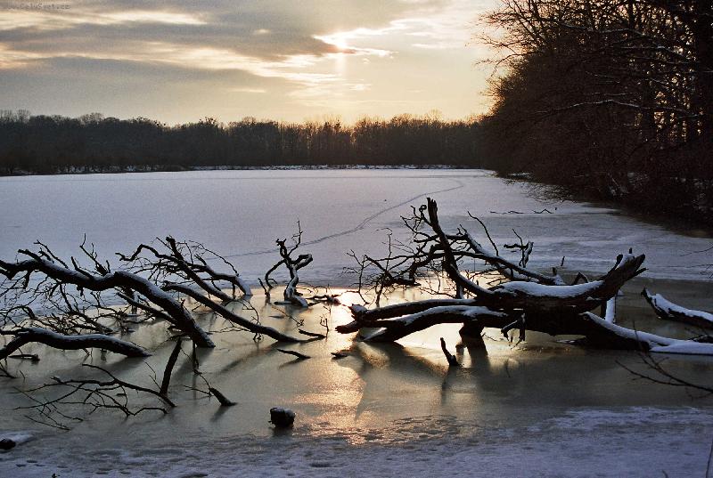 Foto: Soumrak na Novém rybníku