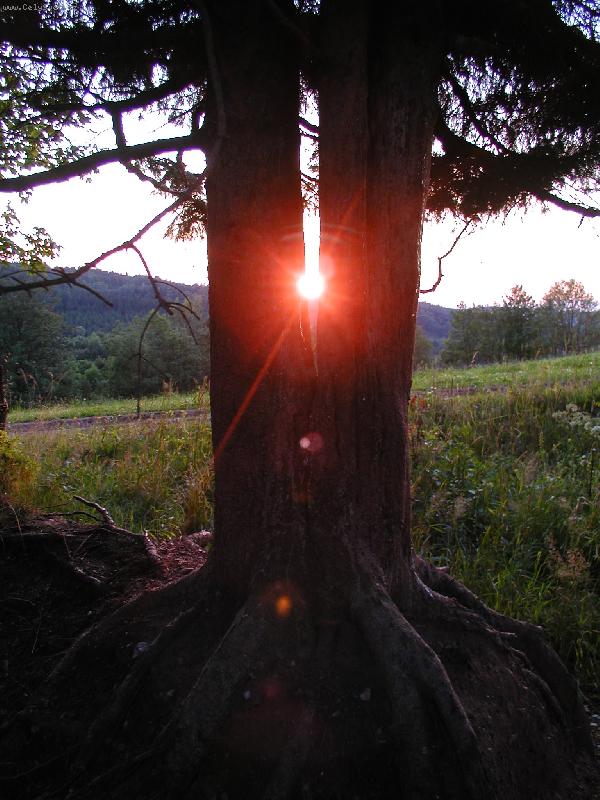 Foto: Dvojčata z Orlických hor