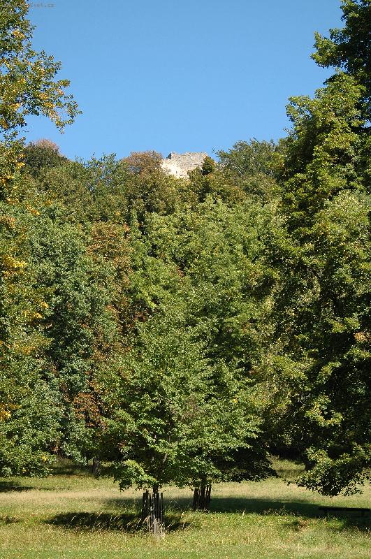 Foto: Hrad v dáli-za stromem