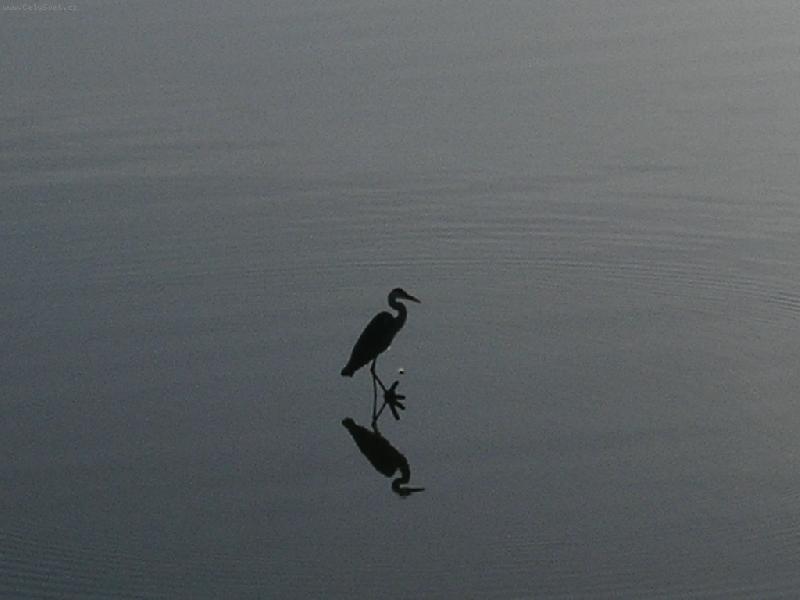 Foto: Tibera-Pták na Tibeře