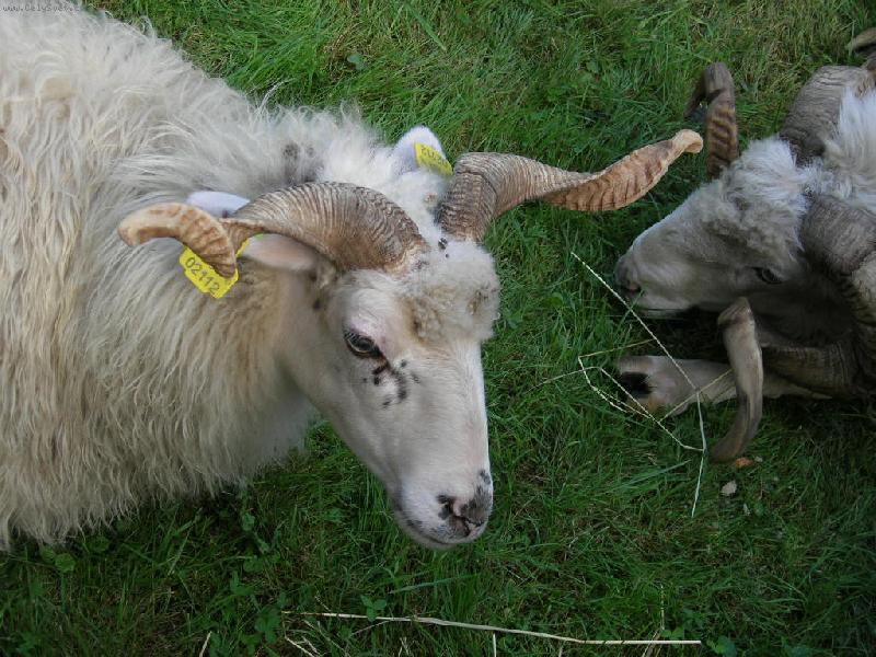 Foto: Nový Jičín-Beran