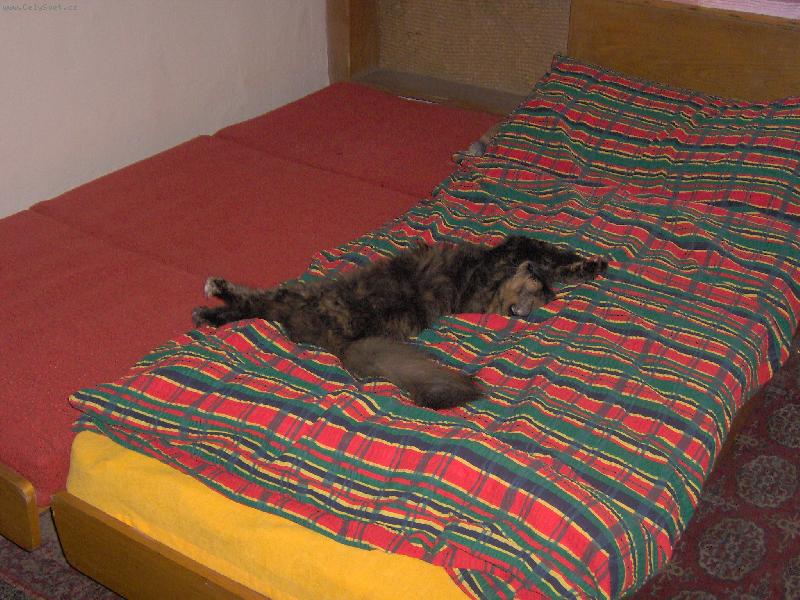 Foto: Myšpulka-Jsem tááááááááááákhle dlouhá