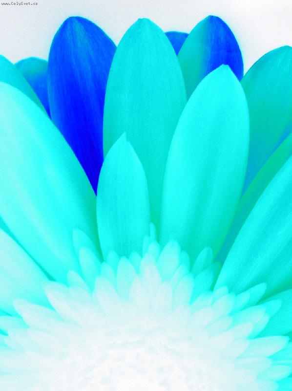 Foto: Blue