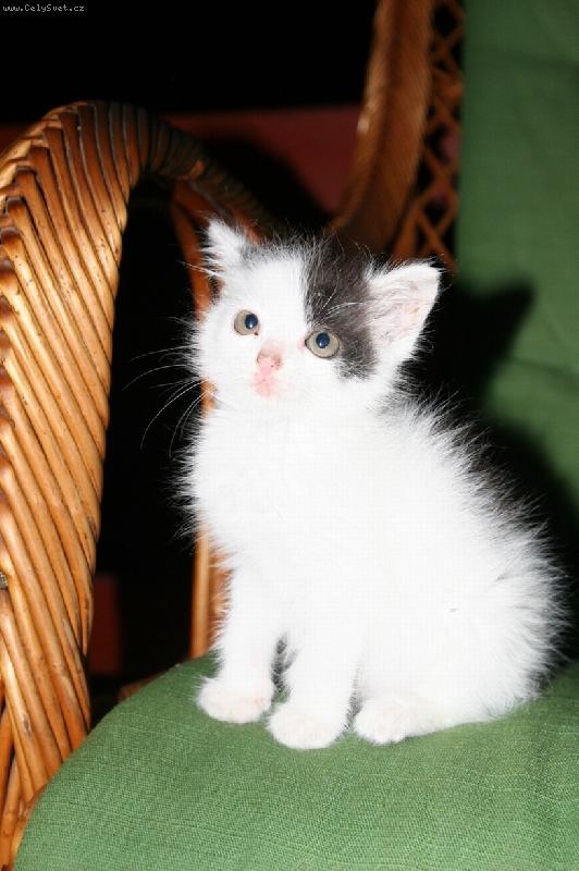 Foto: Miminko-Pampalínek