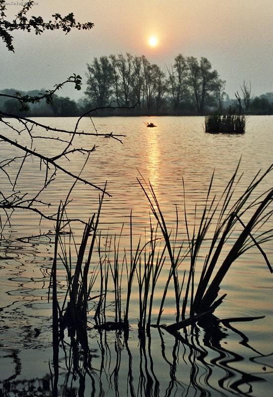 Foto: Rybník kotvice-Ranní slunce nad rybníkem