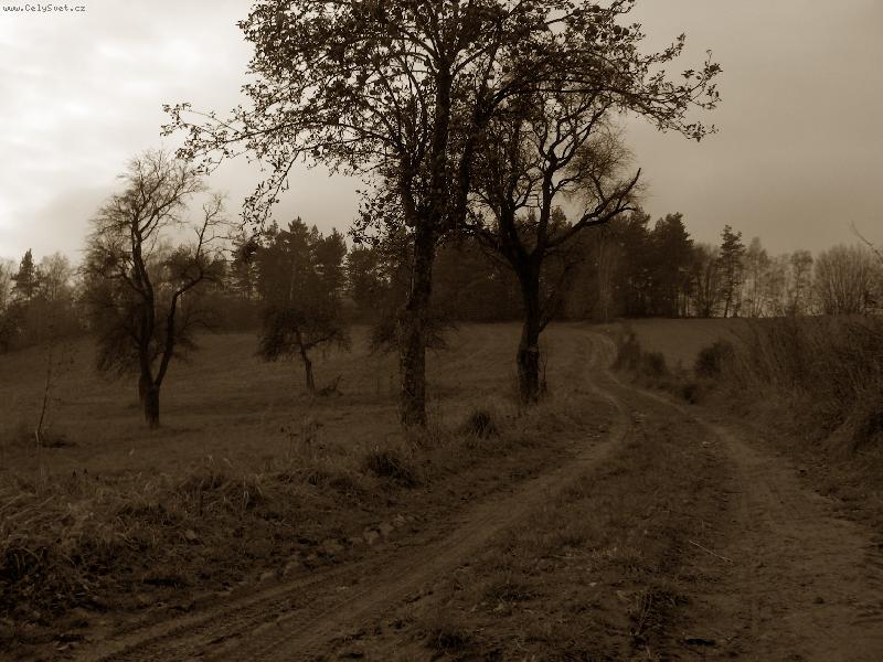 Foto: Cestička-.....