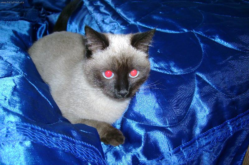 Foto: Satánek