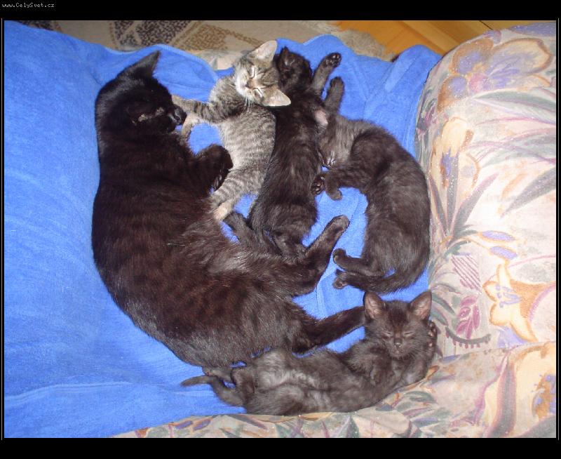 Foto: Siesta-Dvě generace