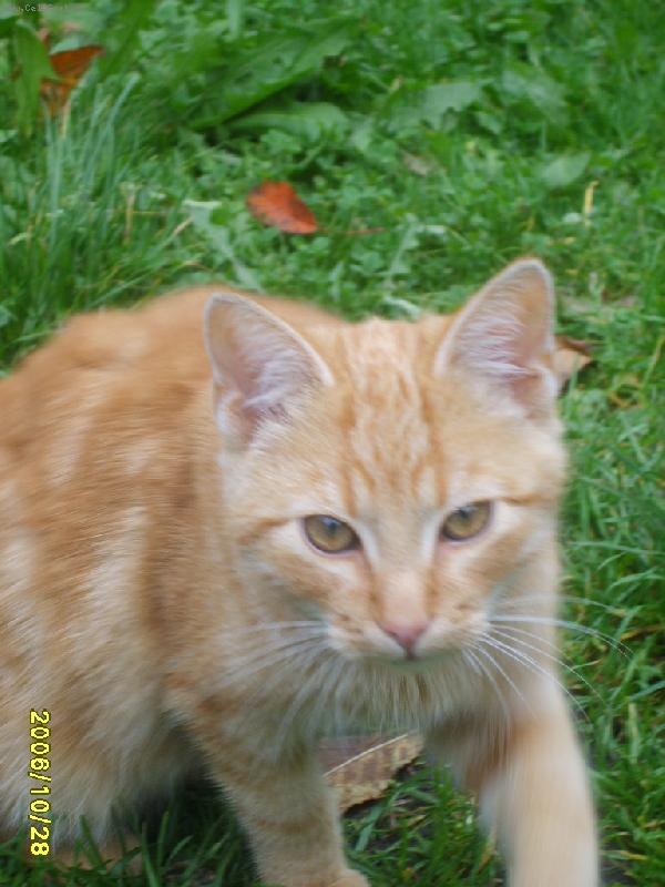 Foto: Majky