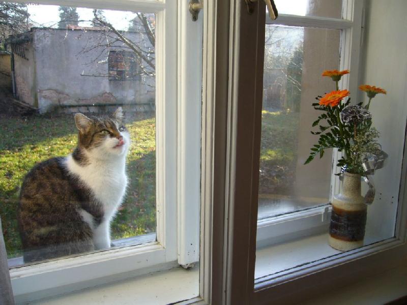 Foto: Puste mě domů - Vánoce 2006