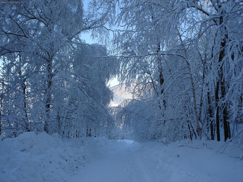 Foto: Na horách-pěkná to zima (leden 2006)