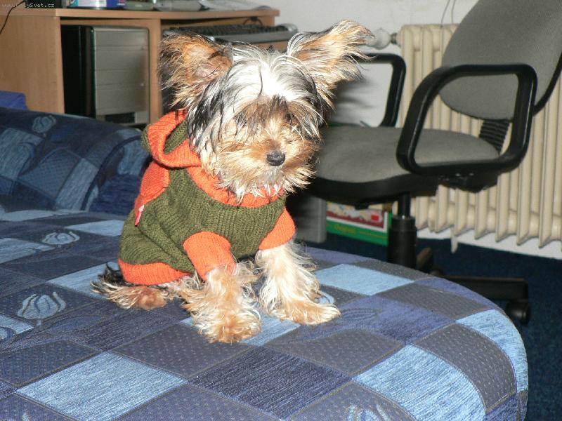 Foto: to je teplíčko?-doma