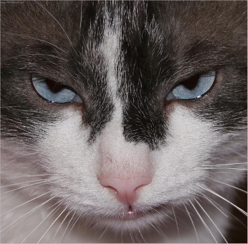 Foto: POJĎ BLÍŽ !