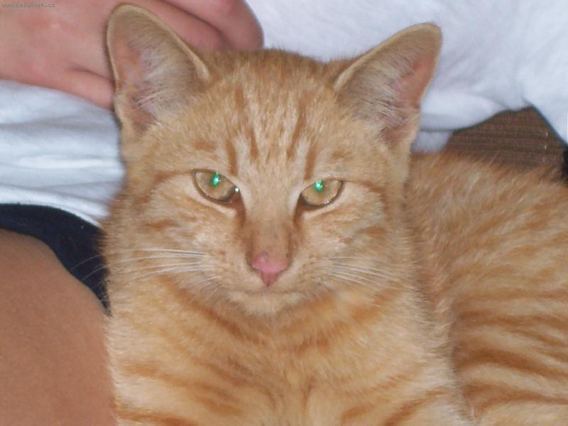 Foto: George-Po obídku