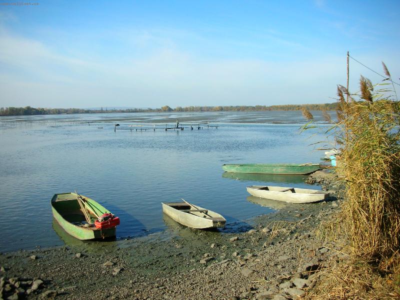 Foto: Výlov Vrkoče