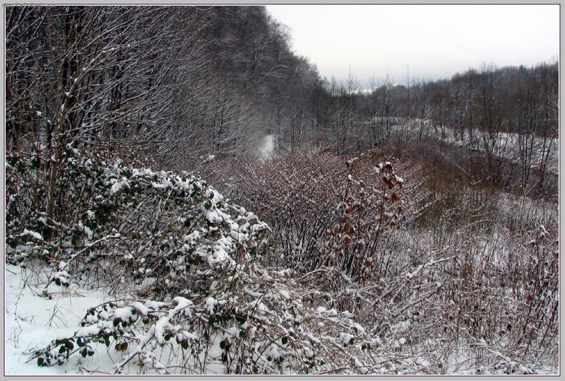 Foto: Zimní krajka-První sníh na březích řeky Morávky v Beskydách