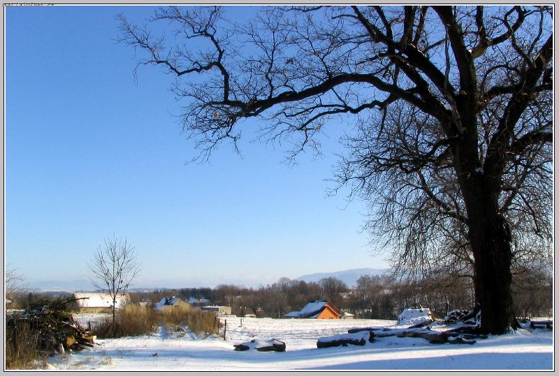Foto: Zimní inspirace-Zimní krajina v Bruzovicí v podhůří Beskyd