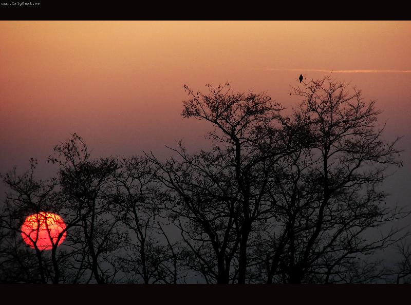 Foto: Soumračný lovec-Za takovým pohledem se ani do Afriky nemusí
