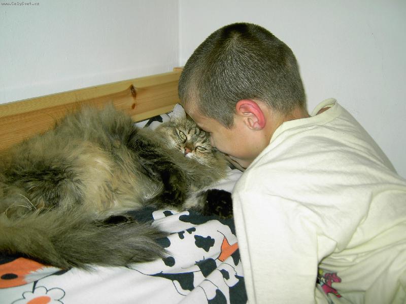 Foto: kočka velmi domácí :-)