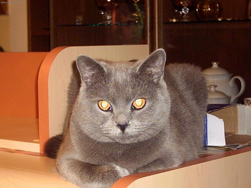 Foto: Boris-Čumím jak umím